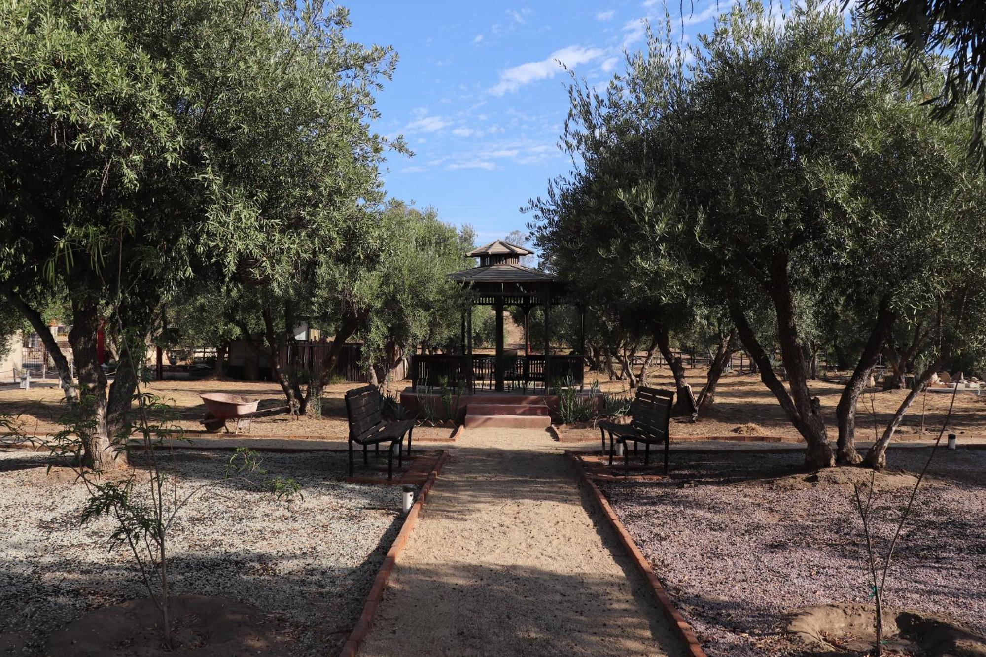 Estancia Los Amigos Valle De Guadalupe Valle de Guadalupe Exterior foto